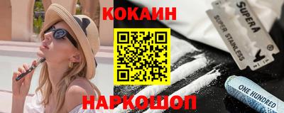 бошки Кингисепп