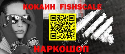 бошки Кингисепп