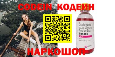 бошки Кингисепп