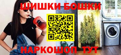 бошки Кингисепп
