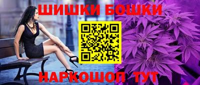 бошки Кингисепп