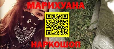 бошки Кингисепп