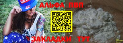 бошки Кингисепп