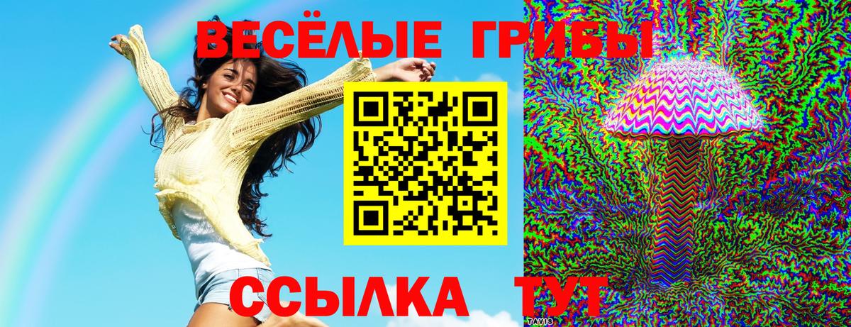 хочу   Вход с VPN  Кушва  Галлюциногенные грибы мицелий 