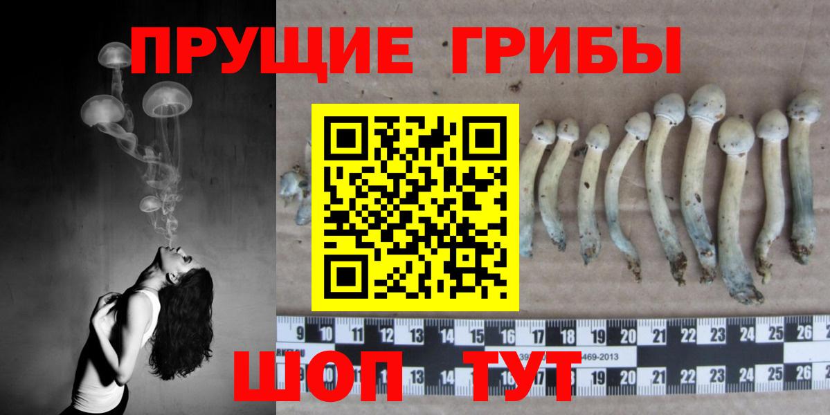 Галлюциногенные грибы мухоморы Кушва